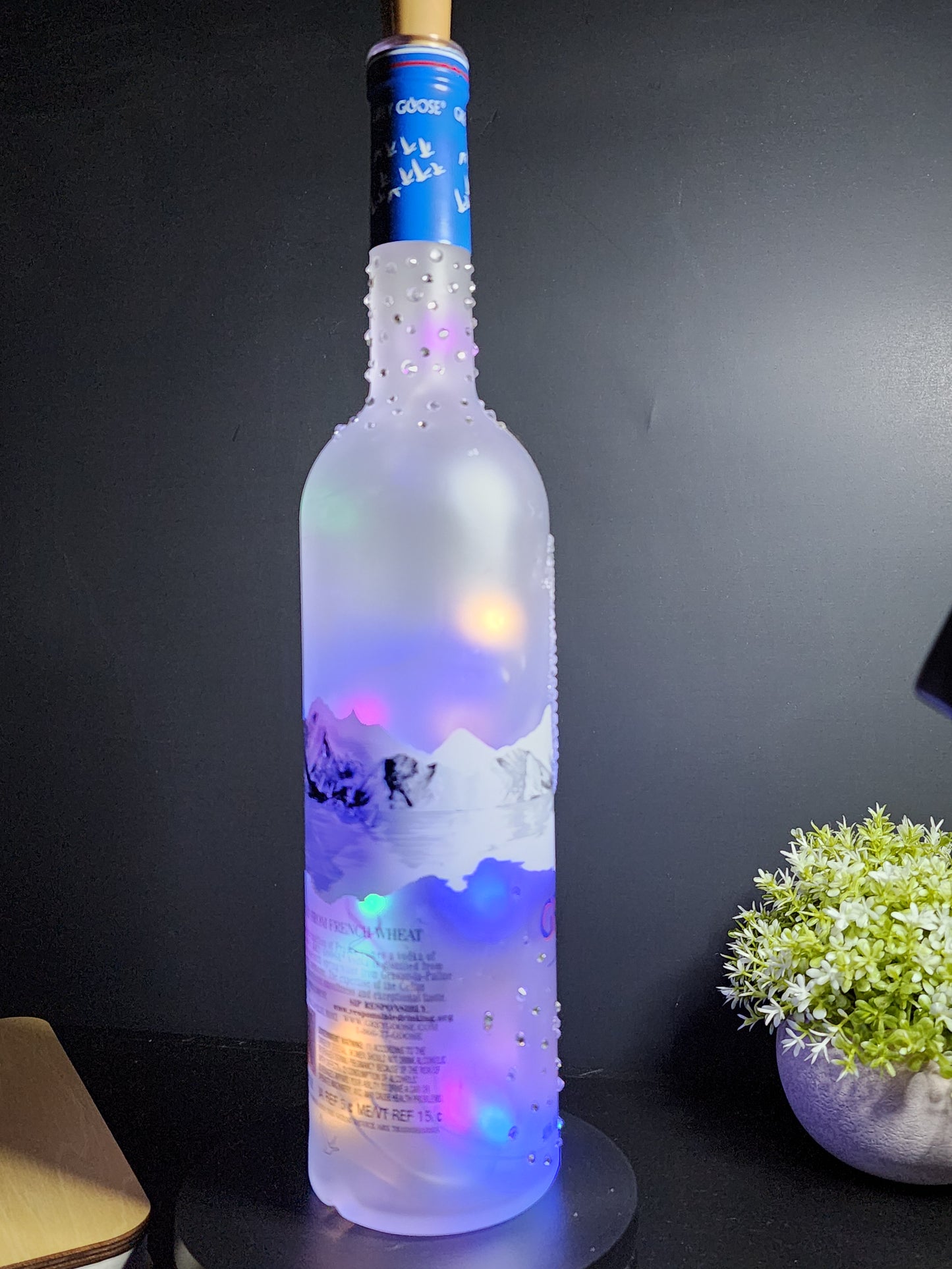 Grey Goose Vodka LED Liquor Bottle Light