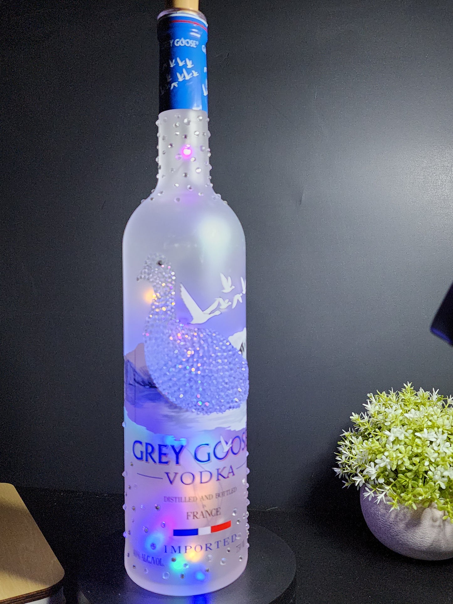 Grey Goose Vodka LED Liquor Bottle Light