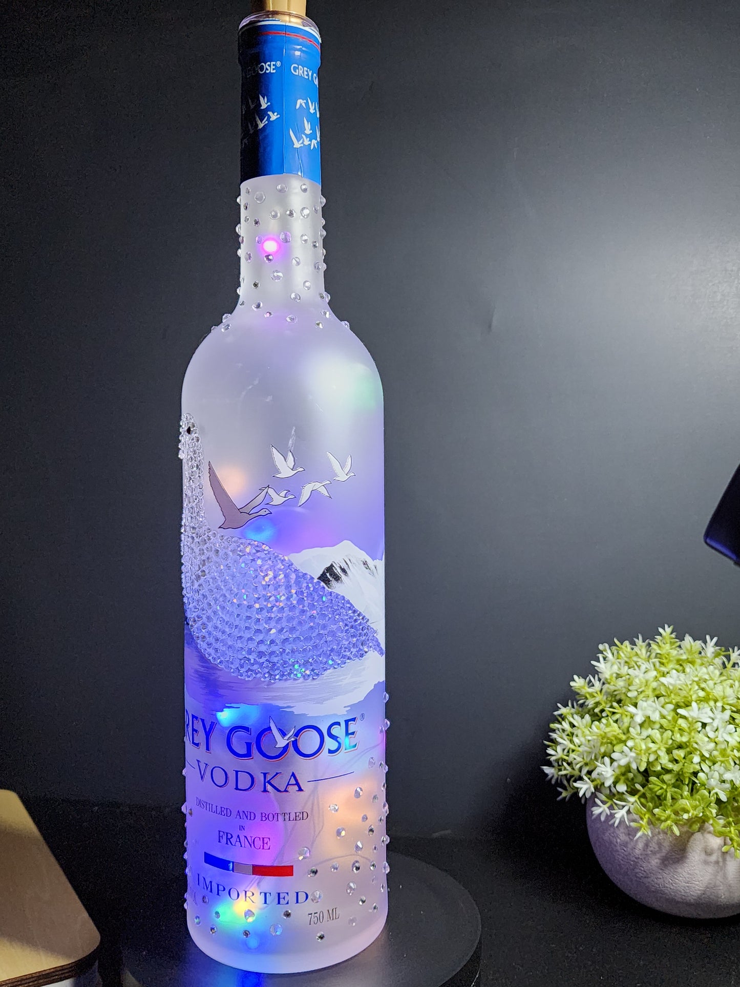 Grey Goose Vodka LED Liquor Bottle Light